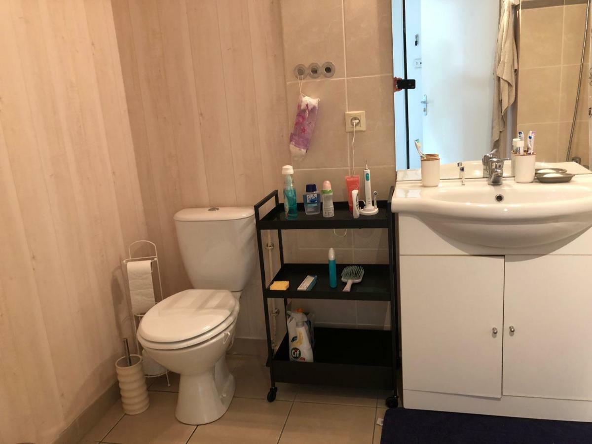 Appartement Au Milieu Des Lacs, Au Bord Du Guiers Aoste Εξωτερικό φωτογραφία